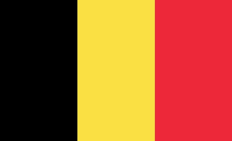 Belgia: Udaremniono kolejne zamachy